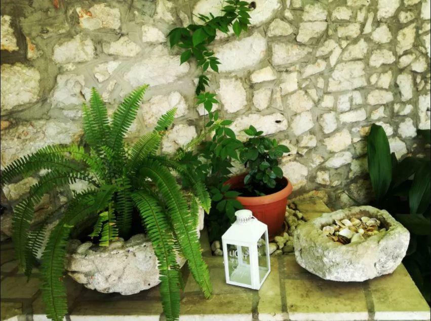 Holiday House Belavista نوفي فينودولسكي المظهر الخارجي الصورة